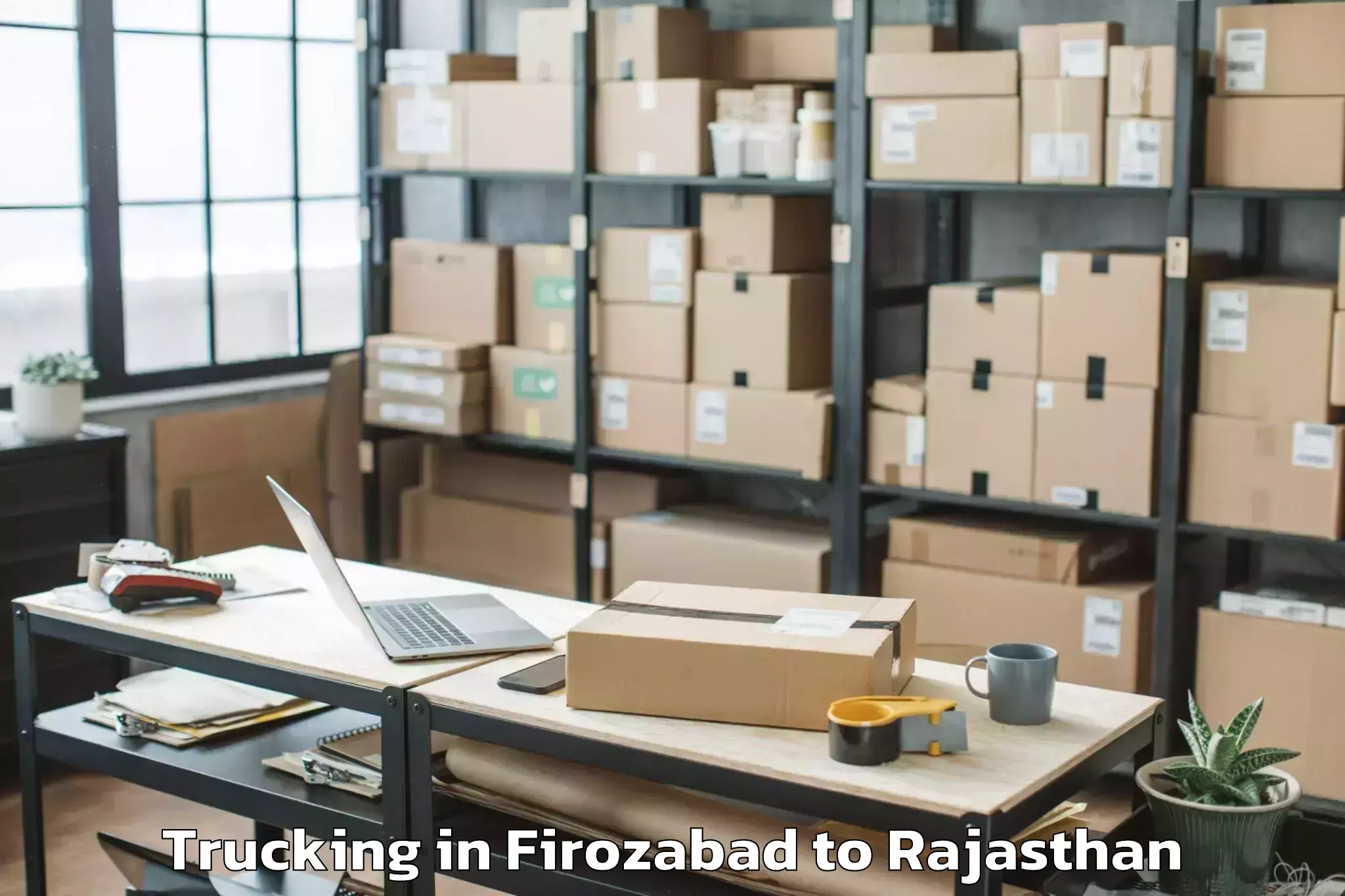 Book Firozabad to Didwana Trucking Online